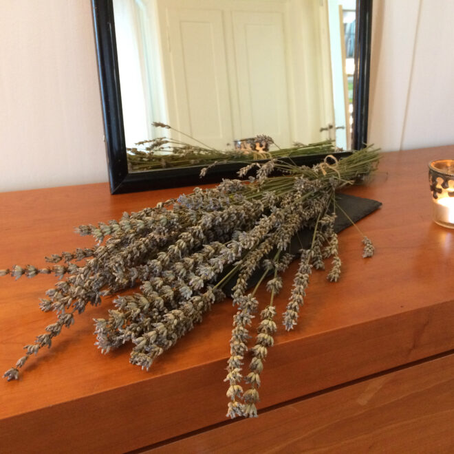 Lavendel Ablage